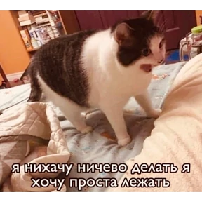 джупсики — стикер для MAX