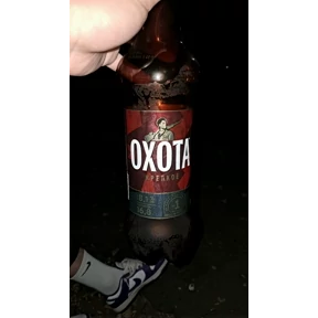 KB BRICHKA — стикер для MAX