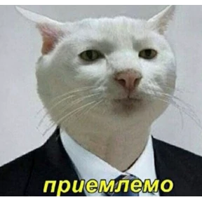 Ржакастикеры — стикер для MAX