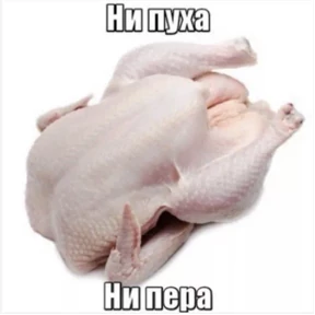 Катя2 — стикер для MAX