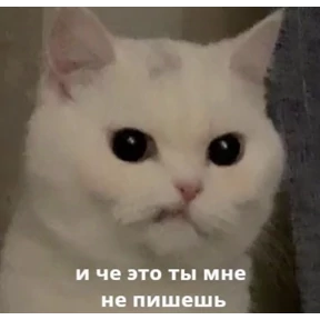 Кусь — стикер для MAX