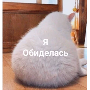 Кусь — стикер для MAX