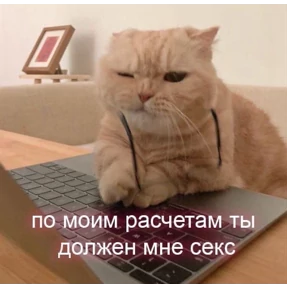 Кусь — стикер для MAX