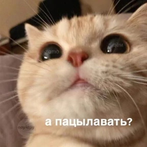Кусь — стикер для MAX