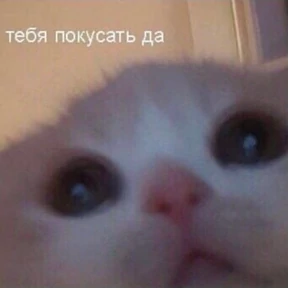 Кусь — стикер для MAX