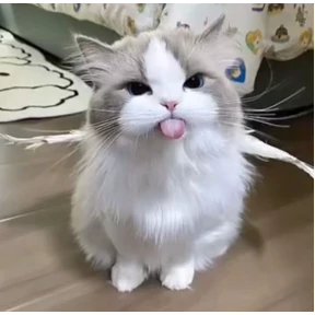 Кусь — стикер для MAX