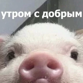 Яна — стикер для MAX