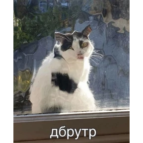 Пупу — стикер для MAX
