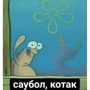 Moviki — стикер для MAX