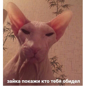 Стикерпак любими для мессенджера MAX
