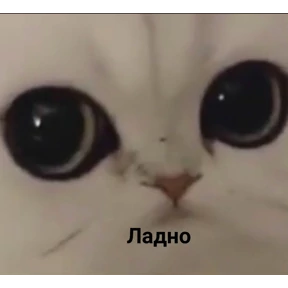 любими — стикер для MAX