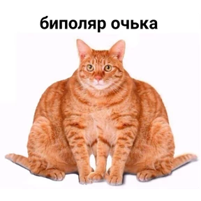 любими — стикер для MAX