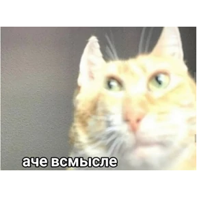 любими — стикер для MAX