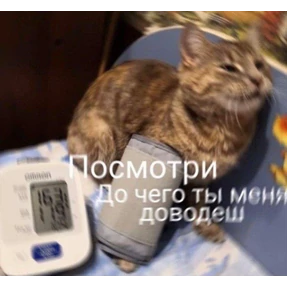 любими — стикер для MAX
