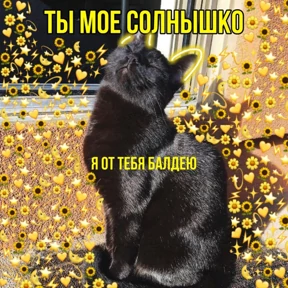 любими — стикер для MAX