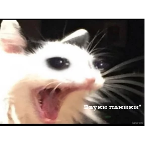 любими — стикер для MAX