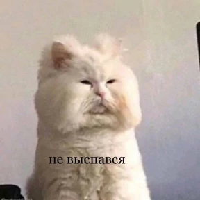 любими — стикер для MAX