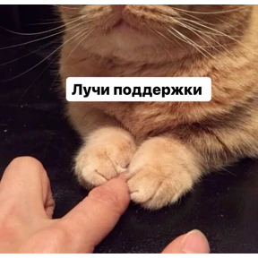 Кусь — стикер для MAX