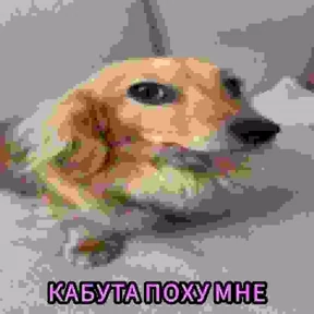 твииии — стикер для MAX