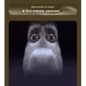 Егорик — стикер для MAX