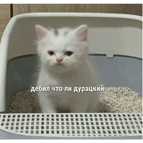 Заводовские — стикер для MAX