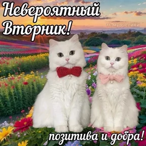 Ммм — стикер для MAX