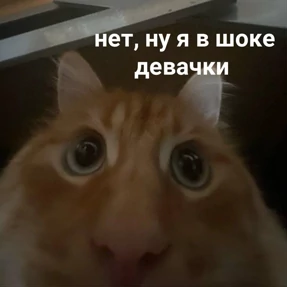 Всё под контролем (нет) — стикер для MAX