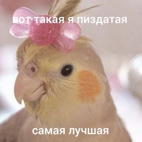 Яна — стикер для MAX