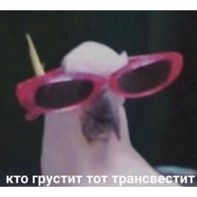 Яна — стикер для MAX