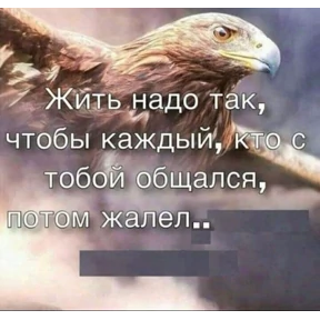 Любовь — стикер для MAX