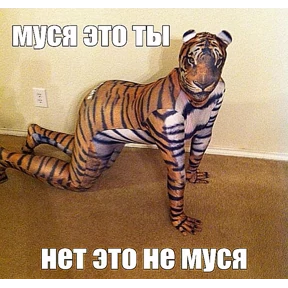 Любовь — стикер для MAX