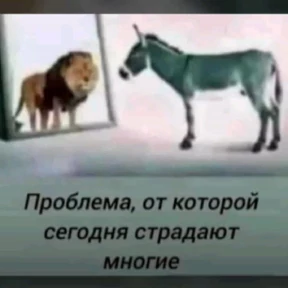 Любовь — стикер для MAX