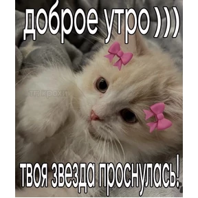 Мартыхи — стикер для MAX