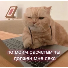 Мартыхи — стикер для MAX