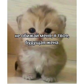 Мартыхи — стикер для MAX
