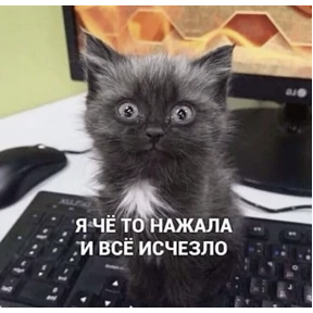 Котики — стикер для MAX