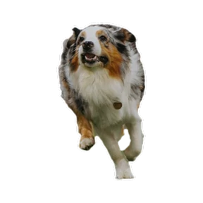 Нейт — стикер для MAX