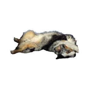 Нейт — стикер для MAX