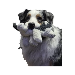 Нейт — стикер для MAX