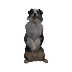 Нейт — стикер для MAX
