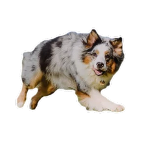 Нейт — стикер для MAX