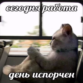 Разнообразие — стикер для MAX