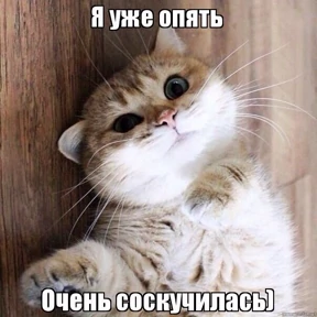 А — стикер для MAX