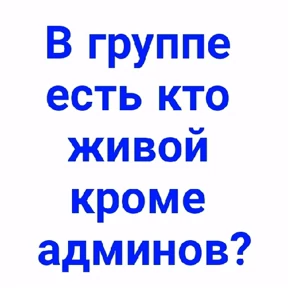 Лот — стикер для MAX