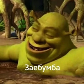 Надеюсь меня не посадят — стикер для MAX