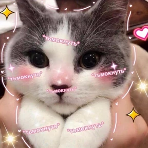 Мяу — стикер для MAX