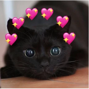 Мяу — стикер для MAX