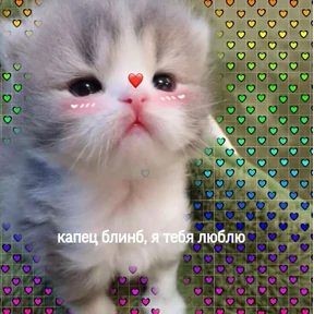 Мяу — стикер для MAX