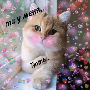 Мяу — стикер для MAX