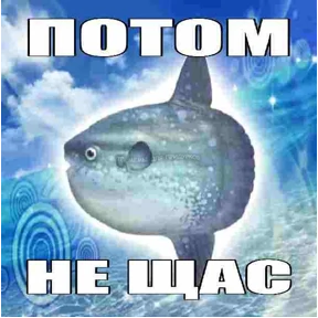 слвк — стикер для MAX